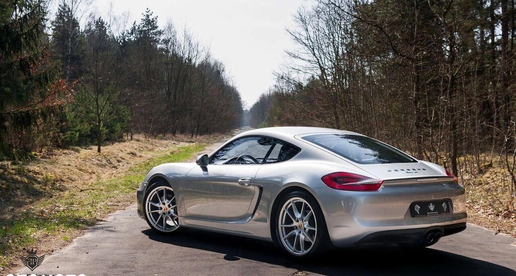 Porsche Cayman cena 219000 przebieg: 107000, rok produkcji 2013 z Jastrowie małe 466